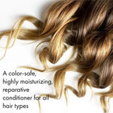 OLAPLEX No.5 Bond Maintenance Hair Conditioner - 100ml