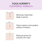 Eqqualberry Purple Rice Pore Purifying Pack Cleanser - 130g