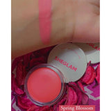 Sheglam Cheeky Color Jam - Spring Blossom